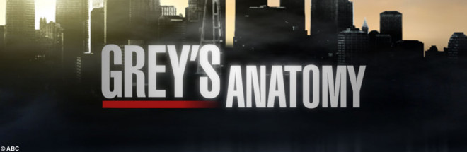 #Neue Grey’s Anatomy-Kollegen